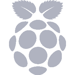 raspberry pi icon